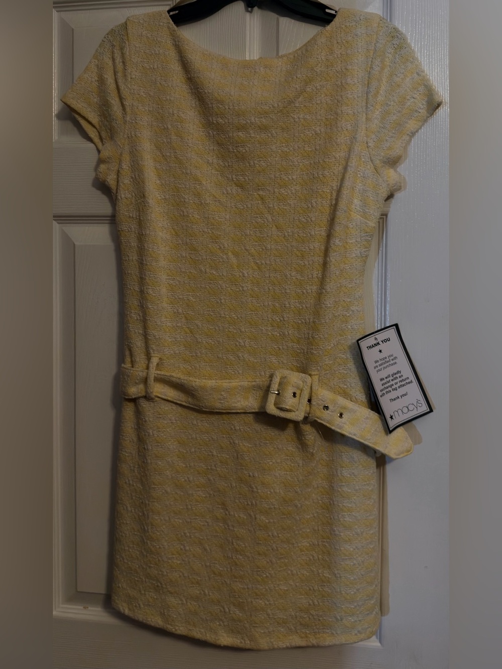 Alex & Sophia Pale Yellow Textured Belted Sheath Dress